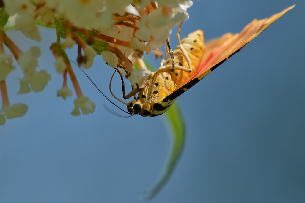 DSC_1709_DxO.jpg