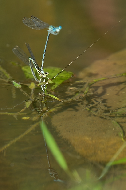 DSC_1533_DxO.jpg