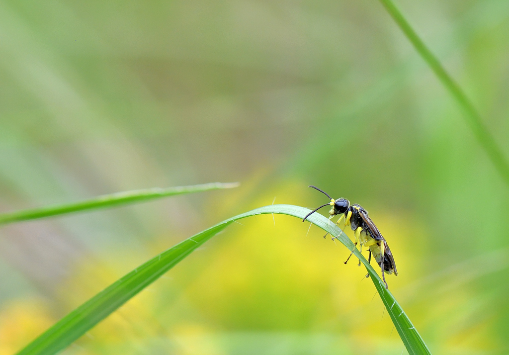 DS5_7588.jpg