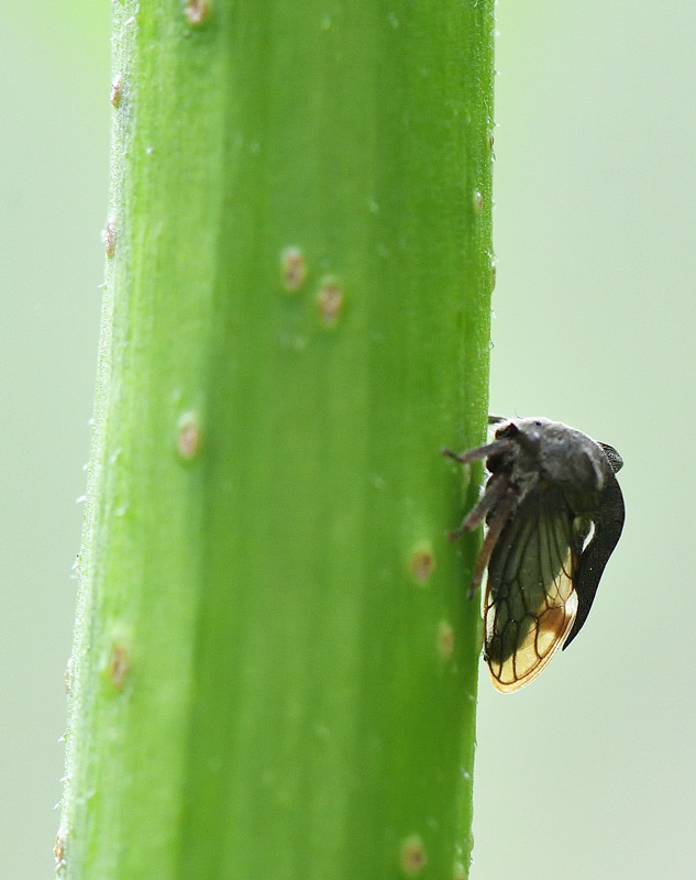 DS5_7595.jpg