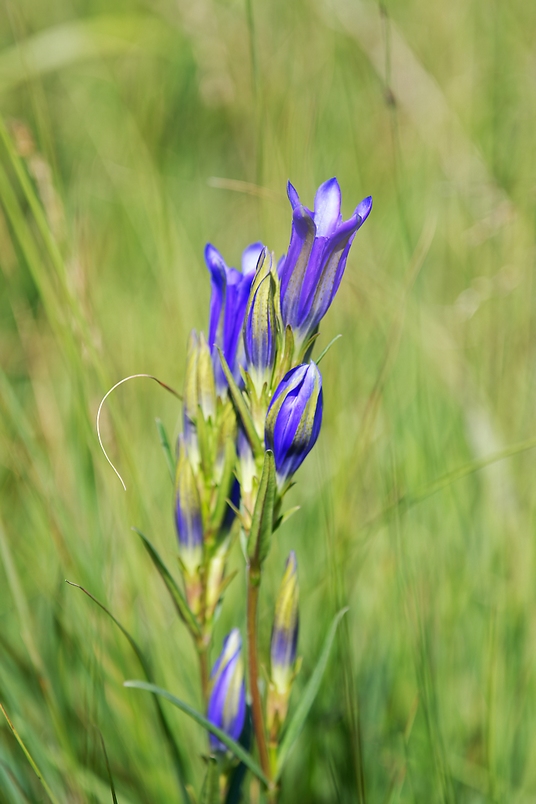 DSC_8231_DxO.jpg