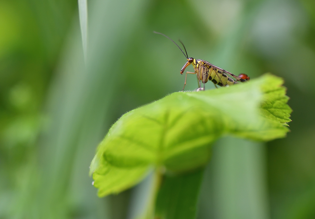 DS5_9228.jpg