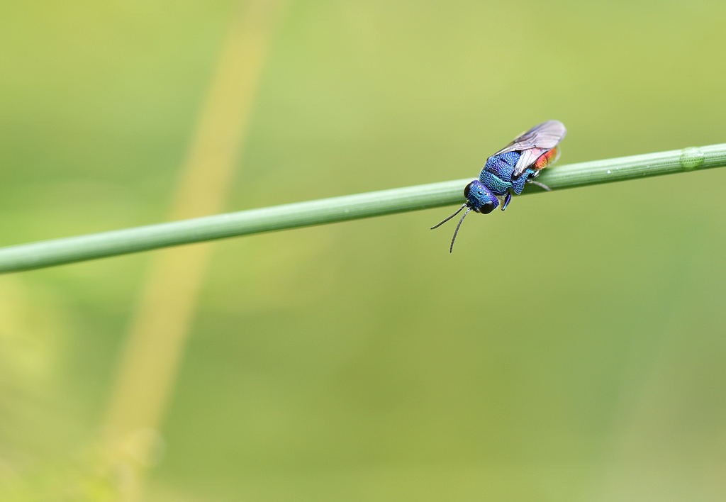 DS5_9499.jpg