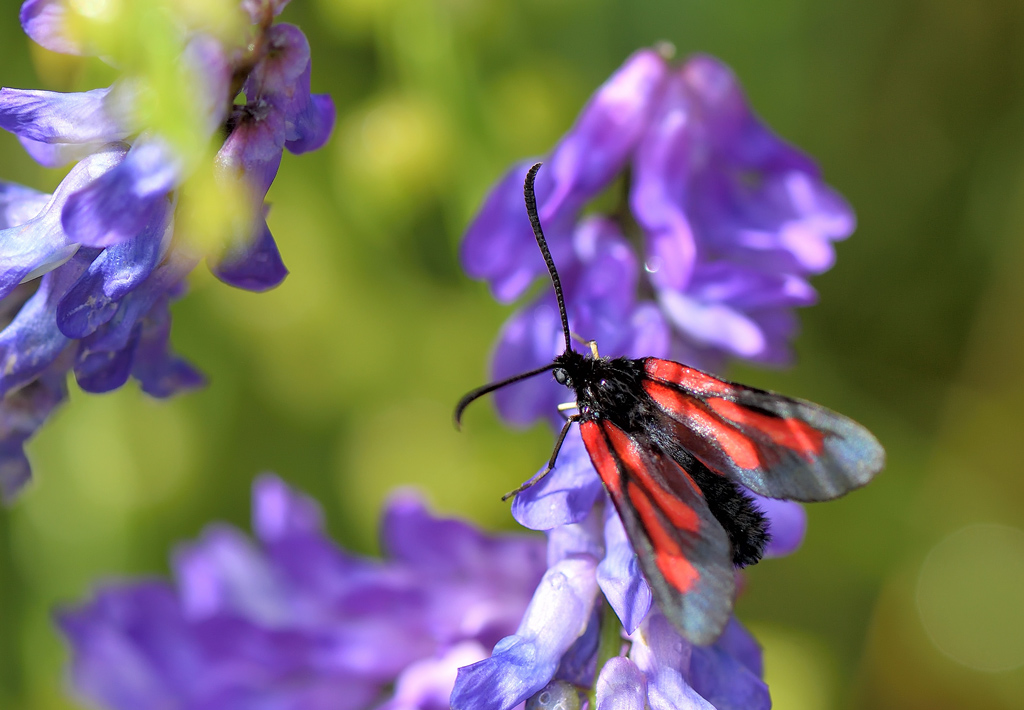 DS5_9413.jpg