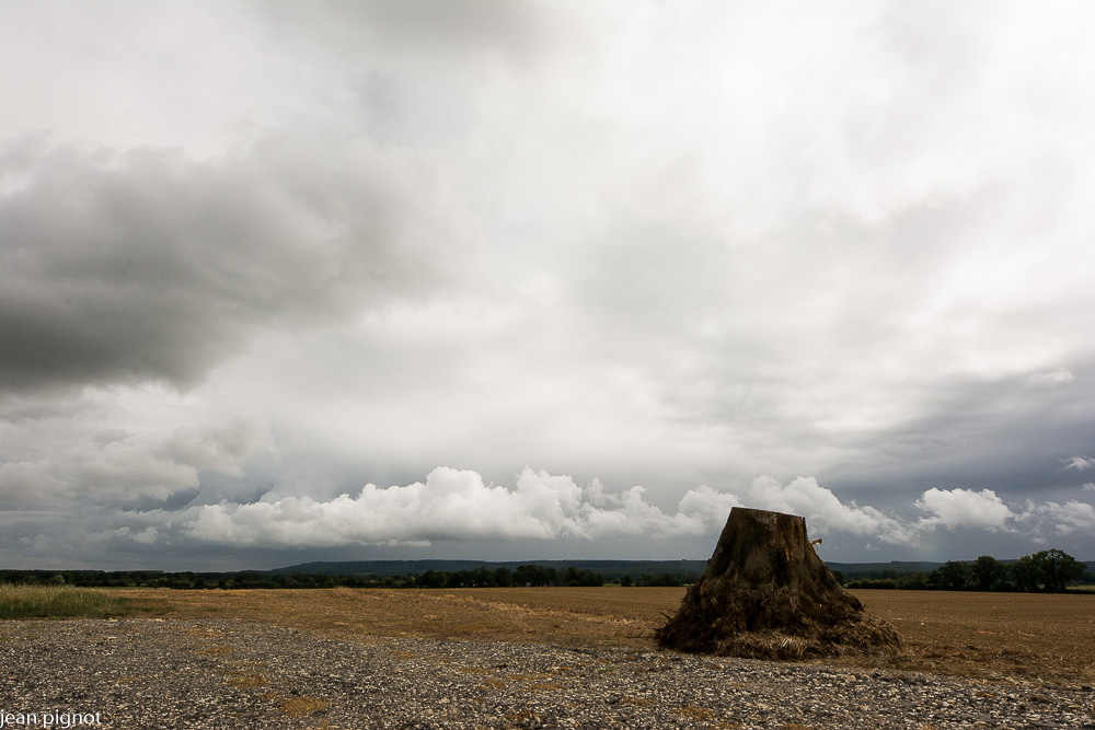 10092021-DSC_9653.JPG