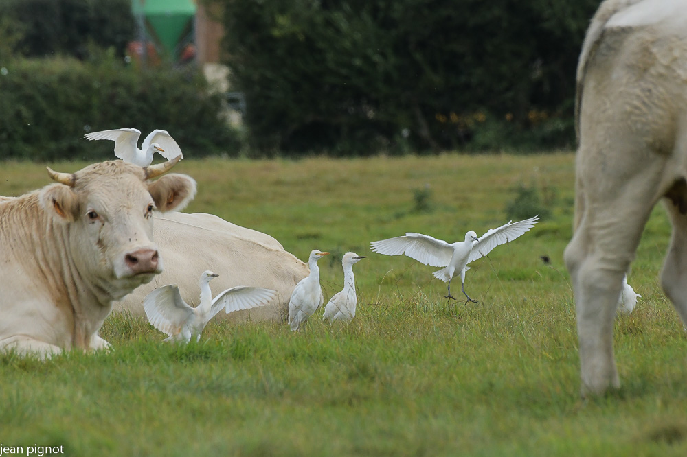 10092021-DSC_6306.JPG
