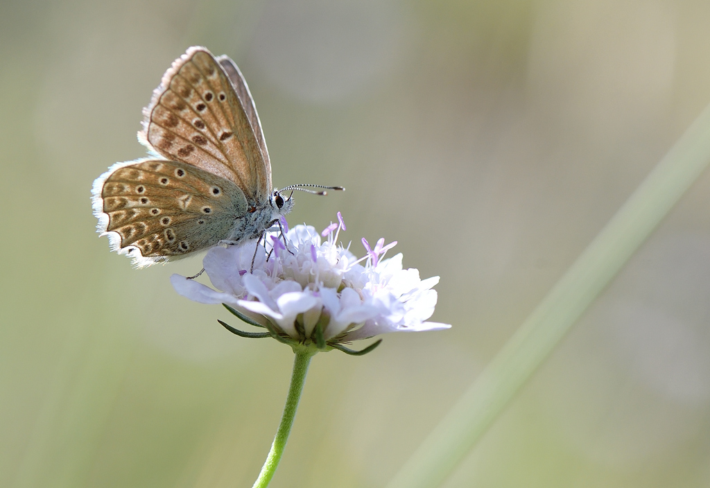 DS5_2832.jpg