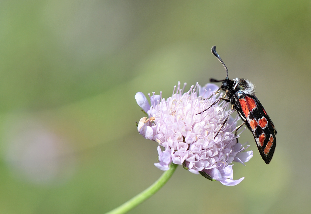 DS5_2907.jpg
