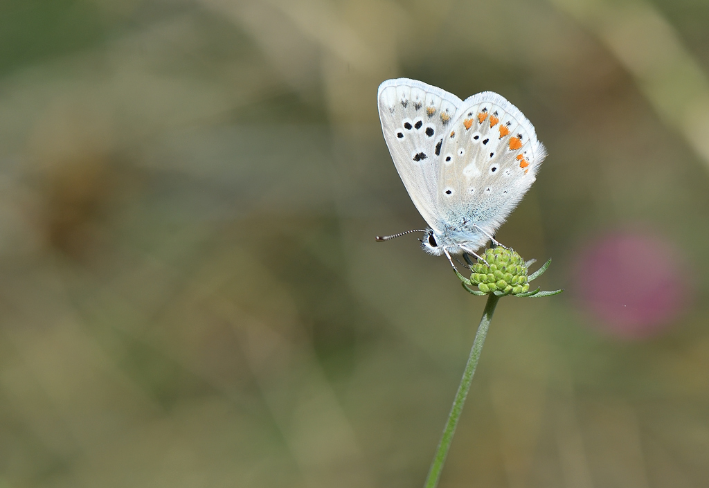 DS5_2920.jpg
