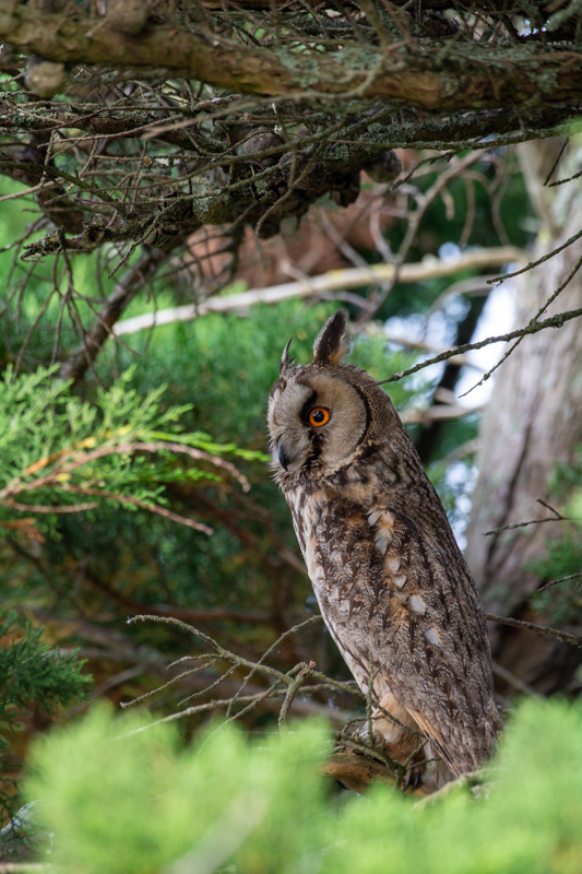 DSC_4030.jpg