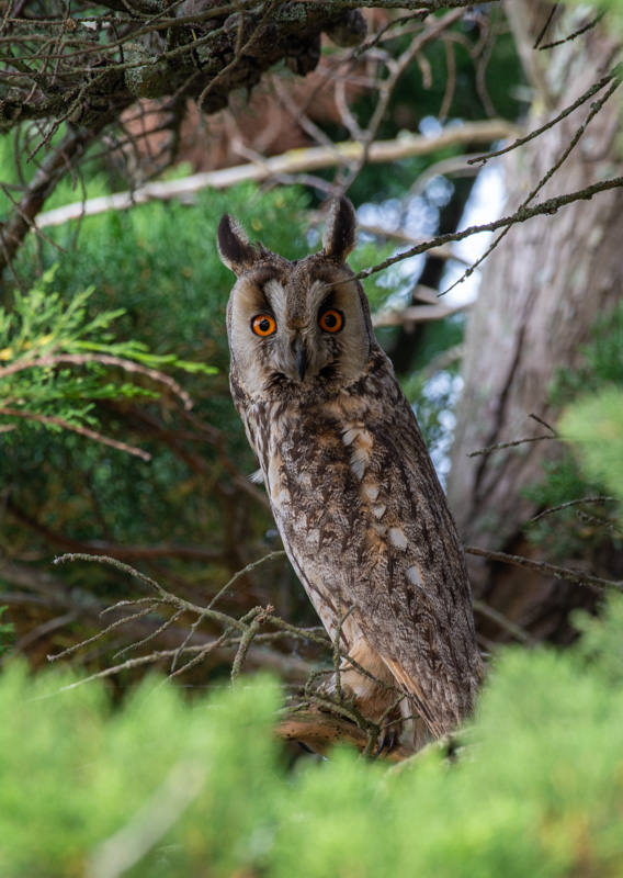 DSC_4029.jpg