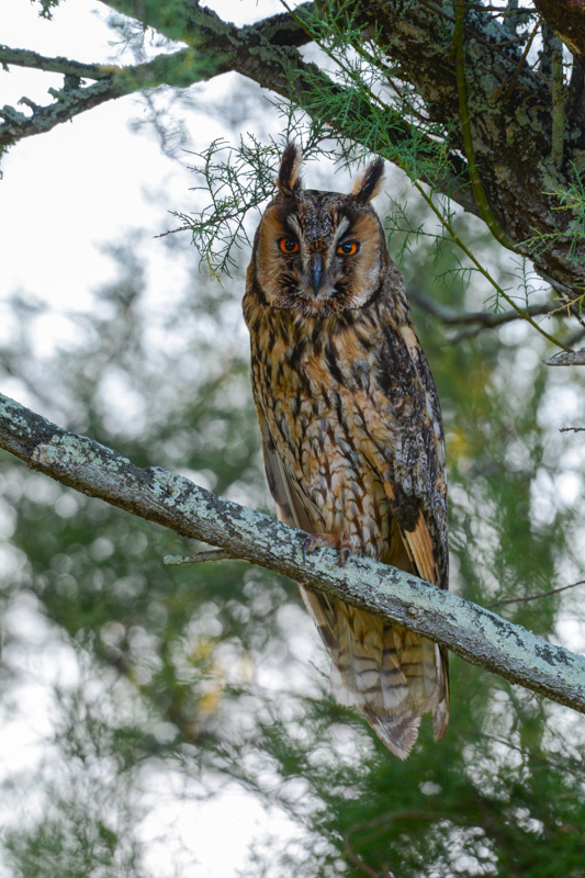 DSC_4605.jpg