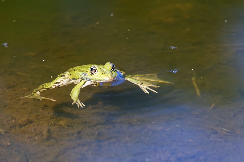 DSC_8258_DxO.jpg
