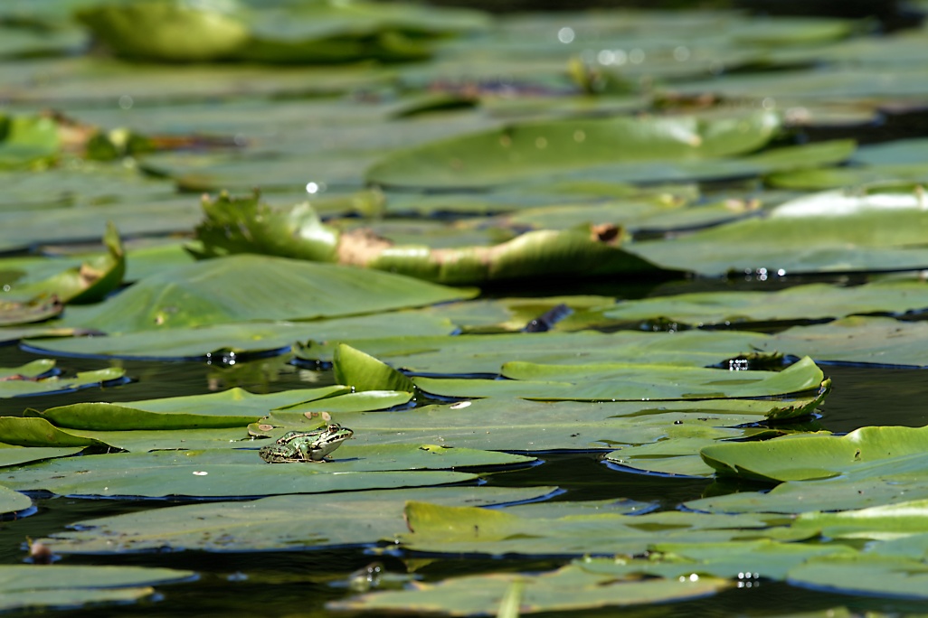 DSC_8317_DxO.jpg