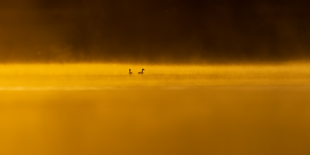 -3S8A14321-4.jpg