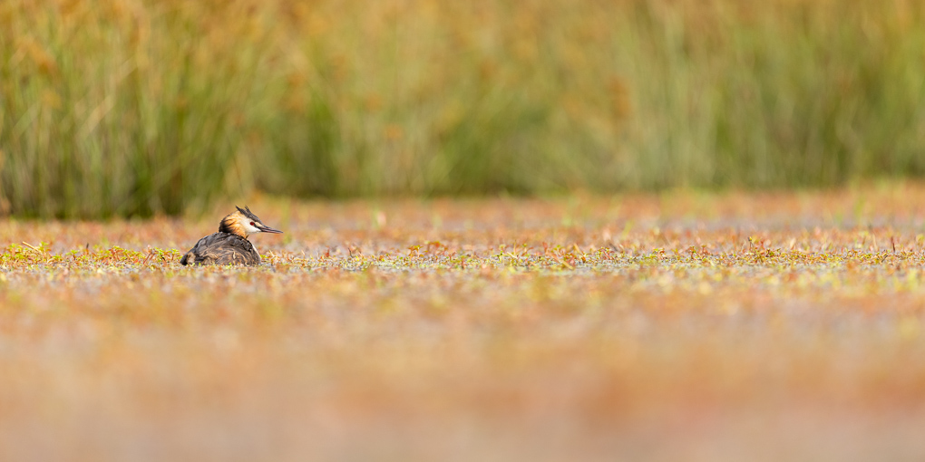 -3S8A02301-4.jpg