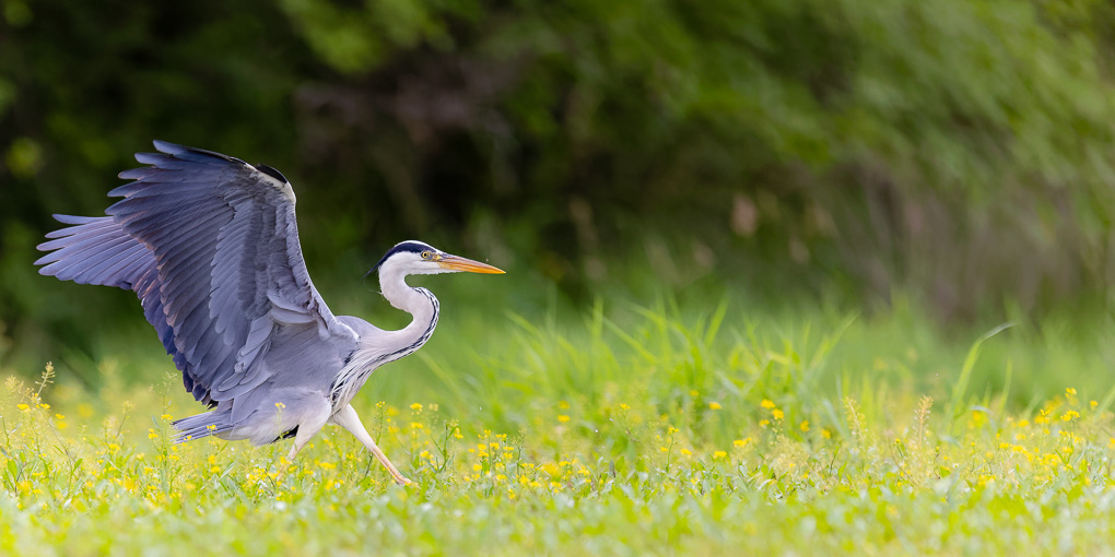 -3S8A1976_DxO1-2.jpg
