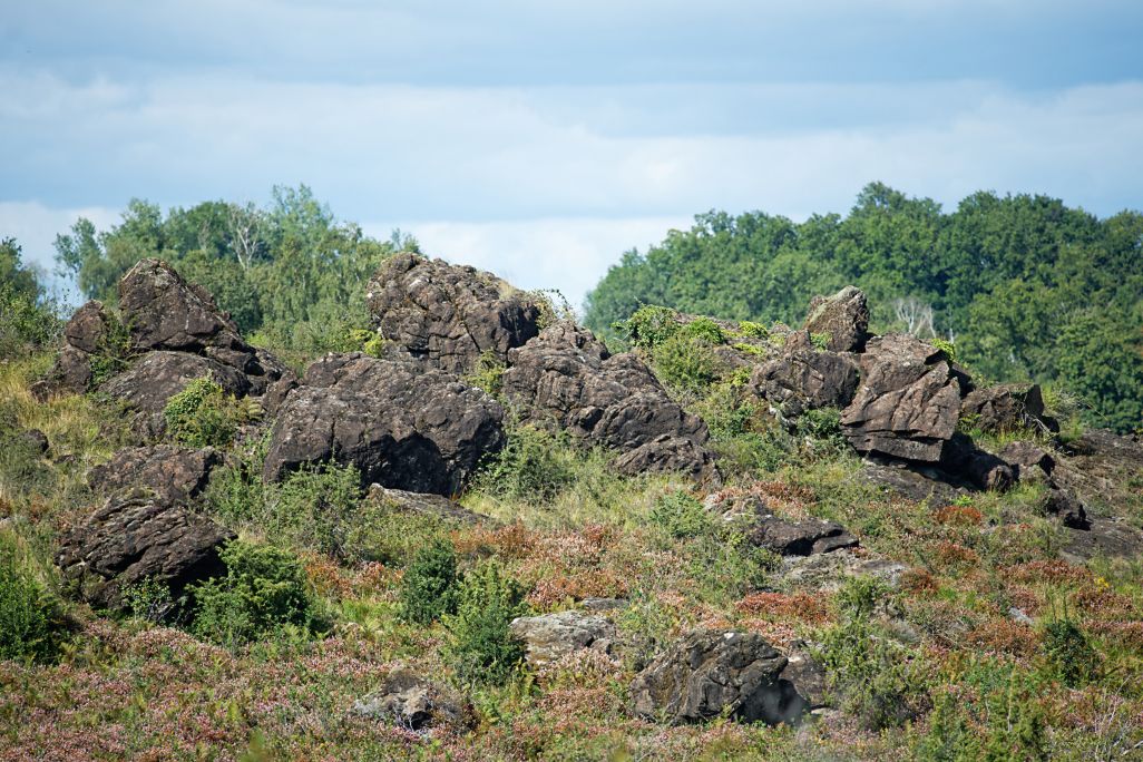 DSC_1902_DxO.jpg