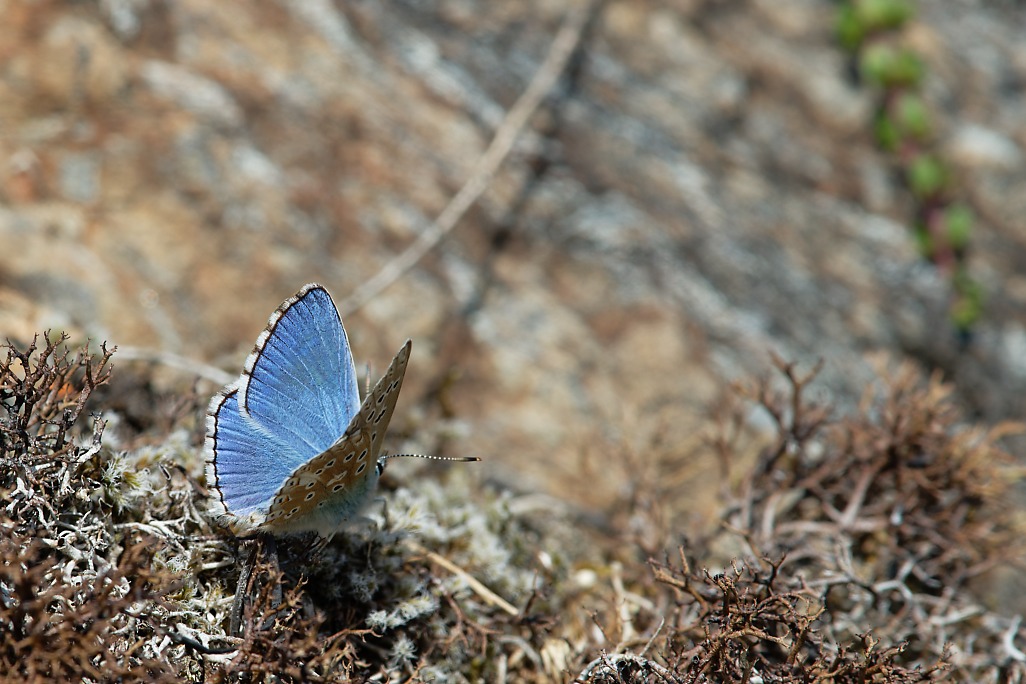 DSC_1850_DxO.jpg