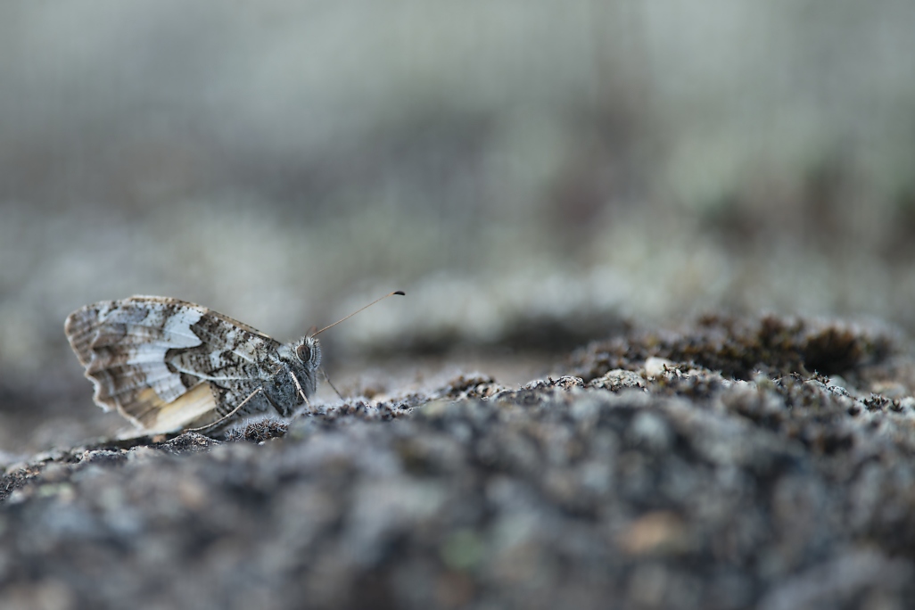 DSC_1927_DxO.jpg