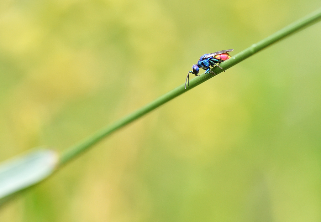DS5_9496.jpg