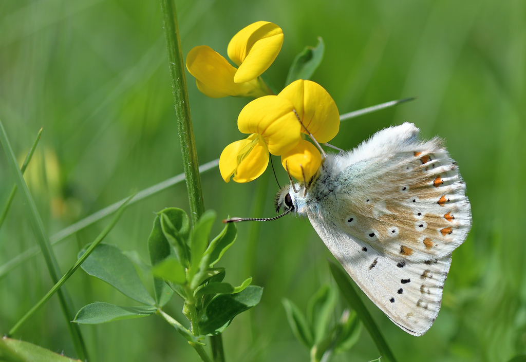 DS5_2777.jpg