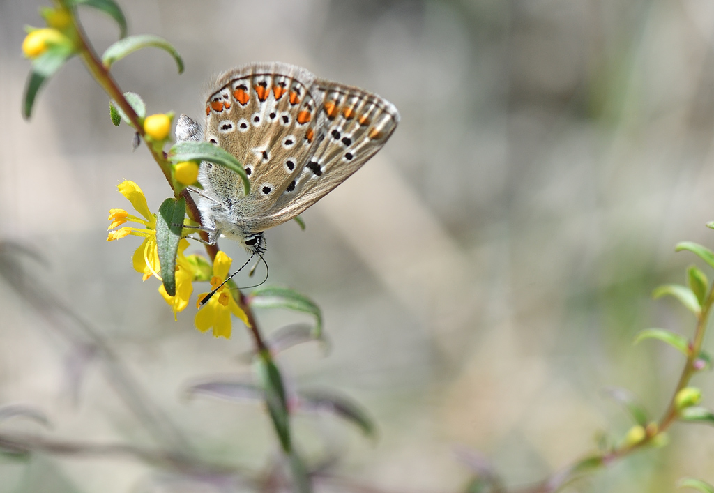 DS5_2782.jpg