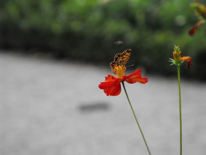 2009-07-22-16h42mn49s.jpg