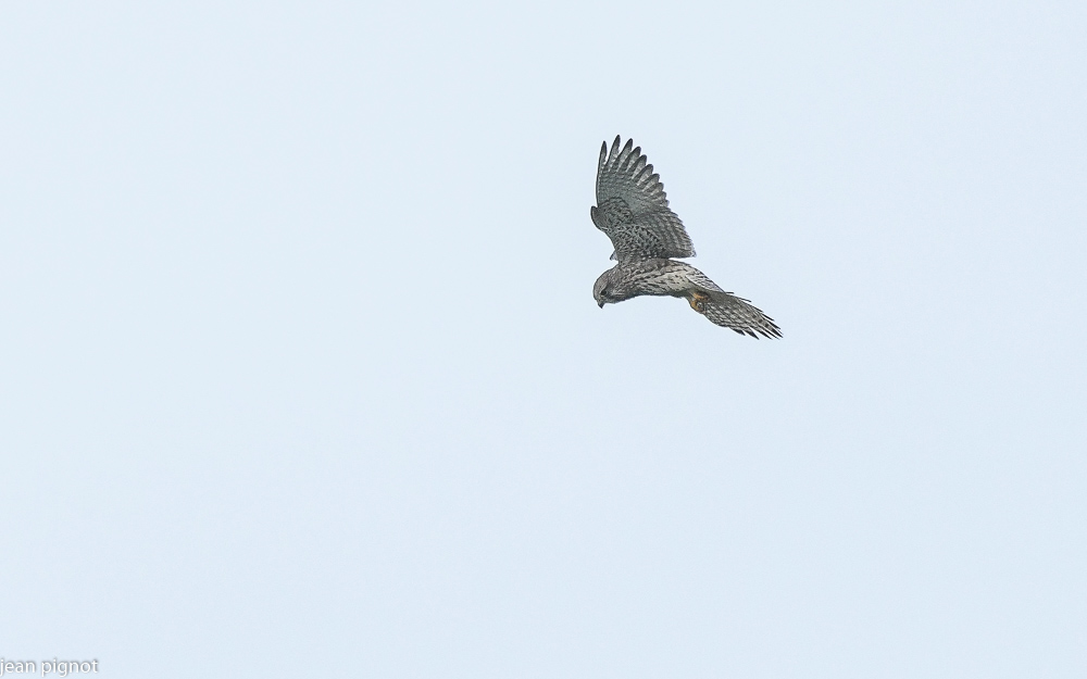 05102021-DSC_7763.JPG