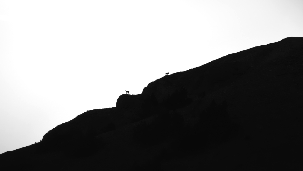 DSC_1728.JPG