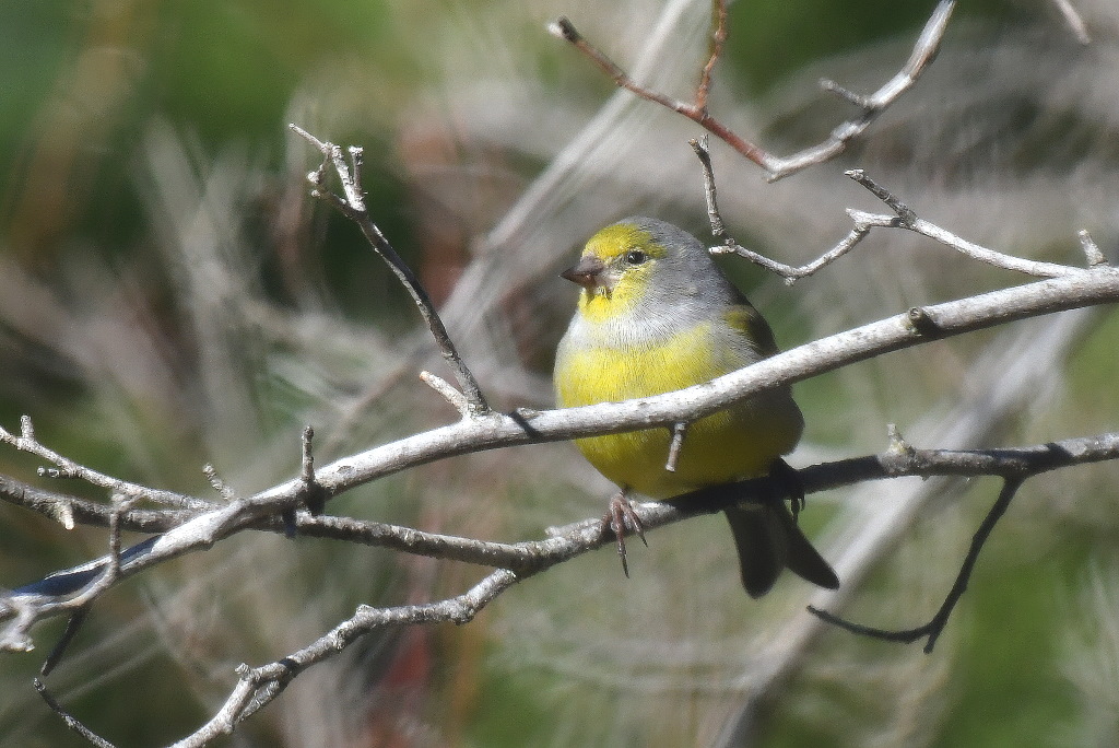 DSC_9793.JPG