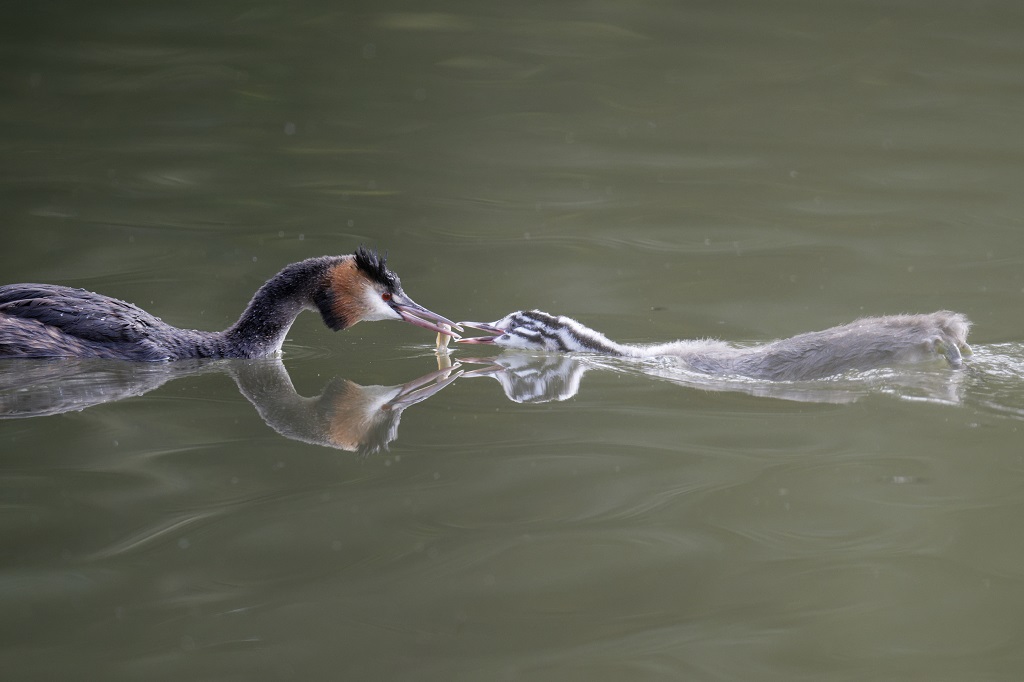 DSC_7240_DxO.jpg