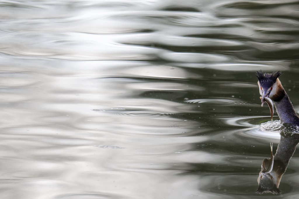 DSC_7168_DxO_1.jpg