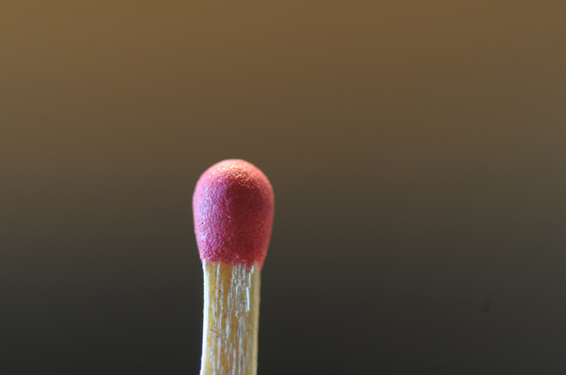 90-macro.jpg