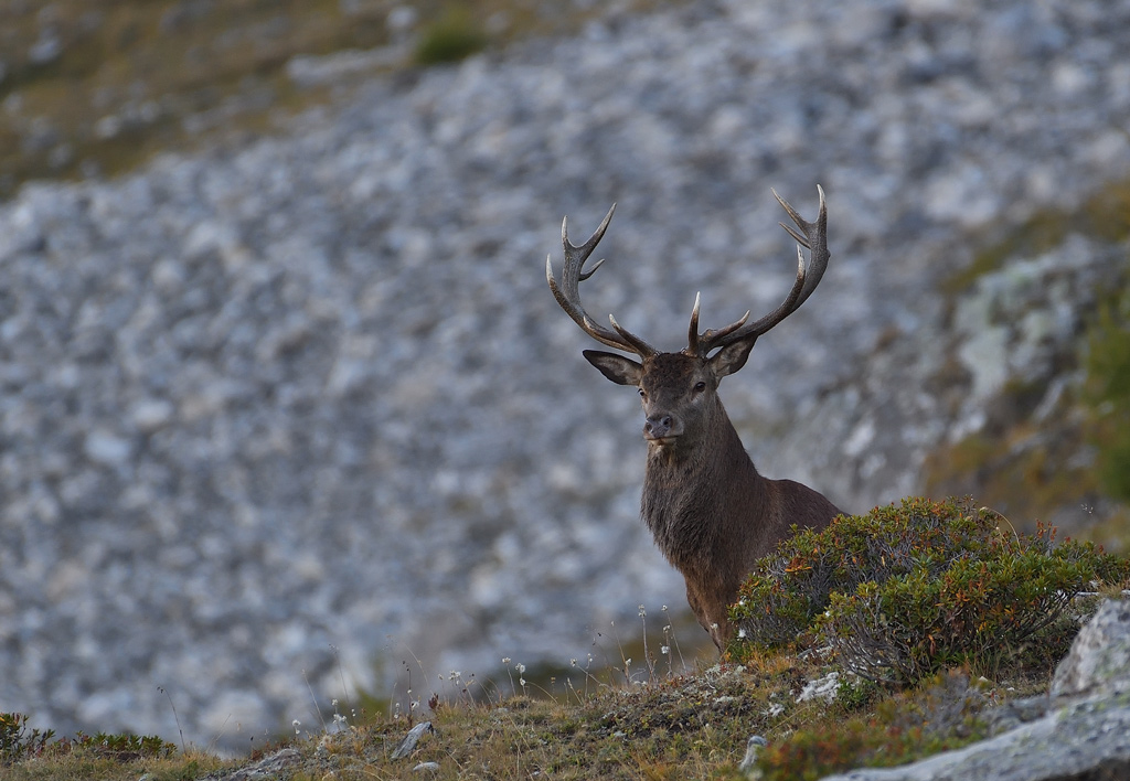 DS5_3552.jpg