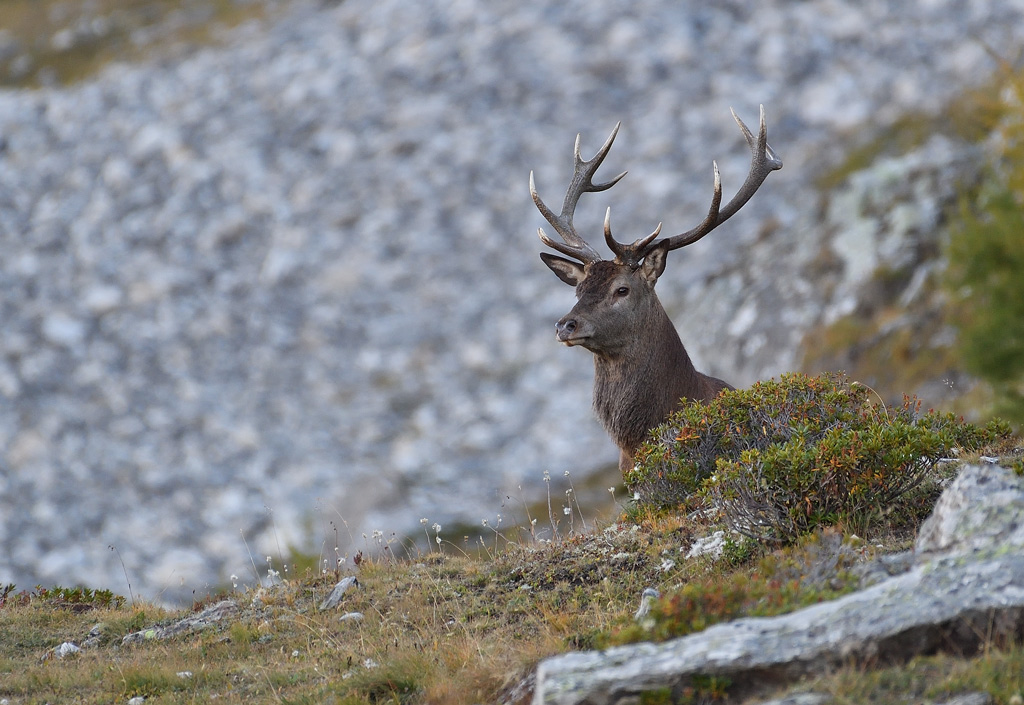 DS5_3549.jpg