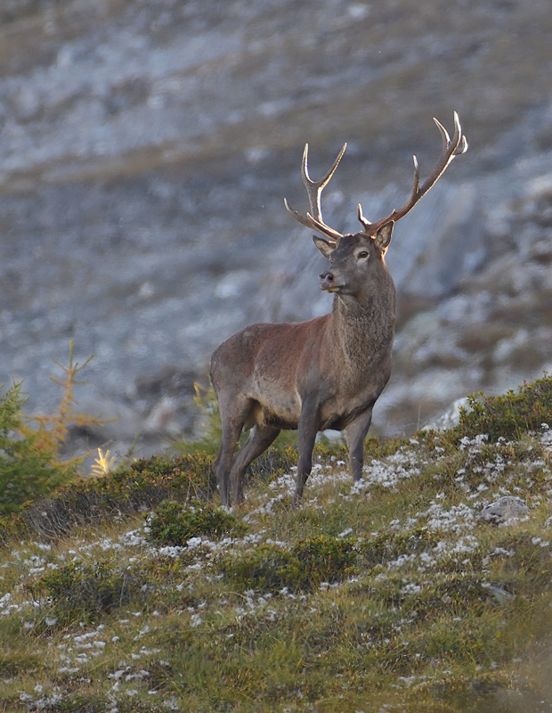 DS5_3591.jpg