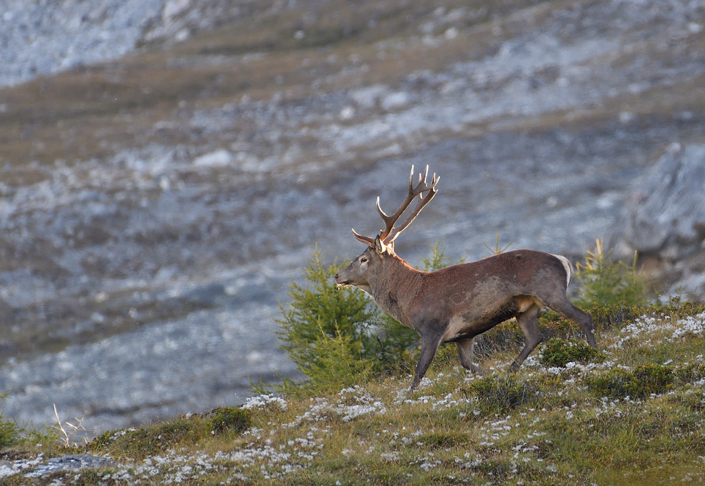 DS5_3595.jpg