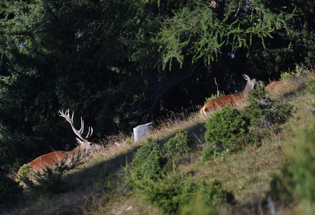 DS5_3644.jpg