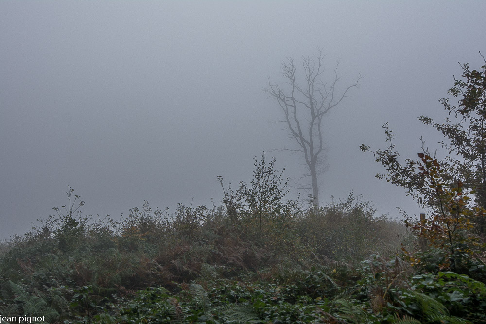 26102021-DSC_9847.JPG