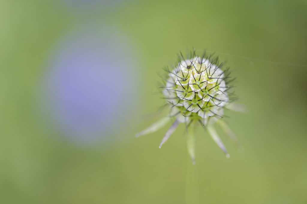 _DSC2575_DxO_DxO_1.jpg