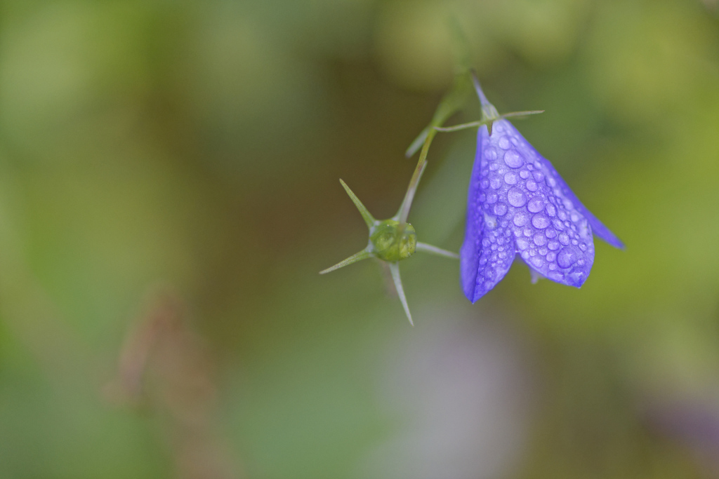 _DSC2578_DxO_DxO_1.jpg