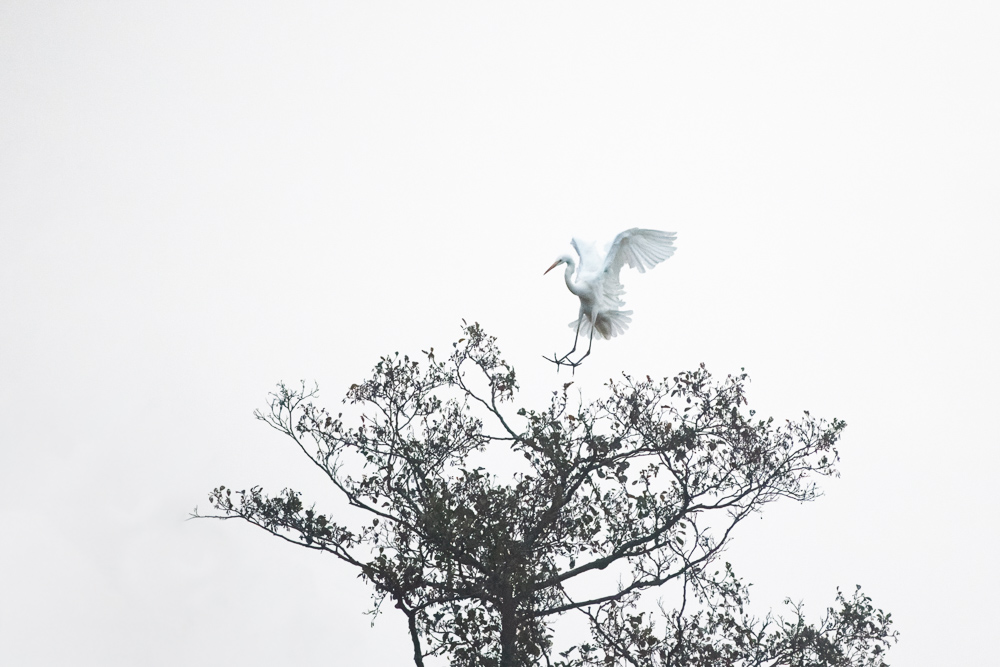 IMG_6181_DxO-Modifier.jpg
