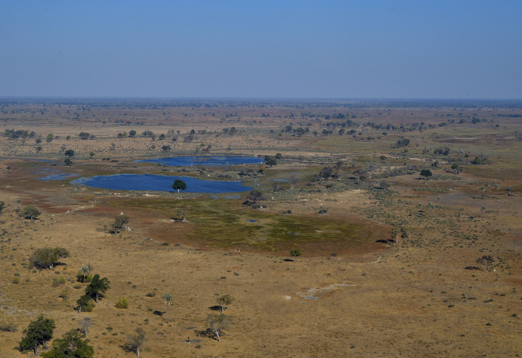 DS5_9744.jpg