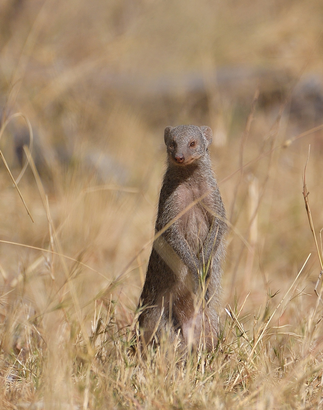 DS5_0405.jpg