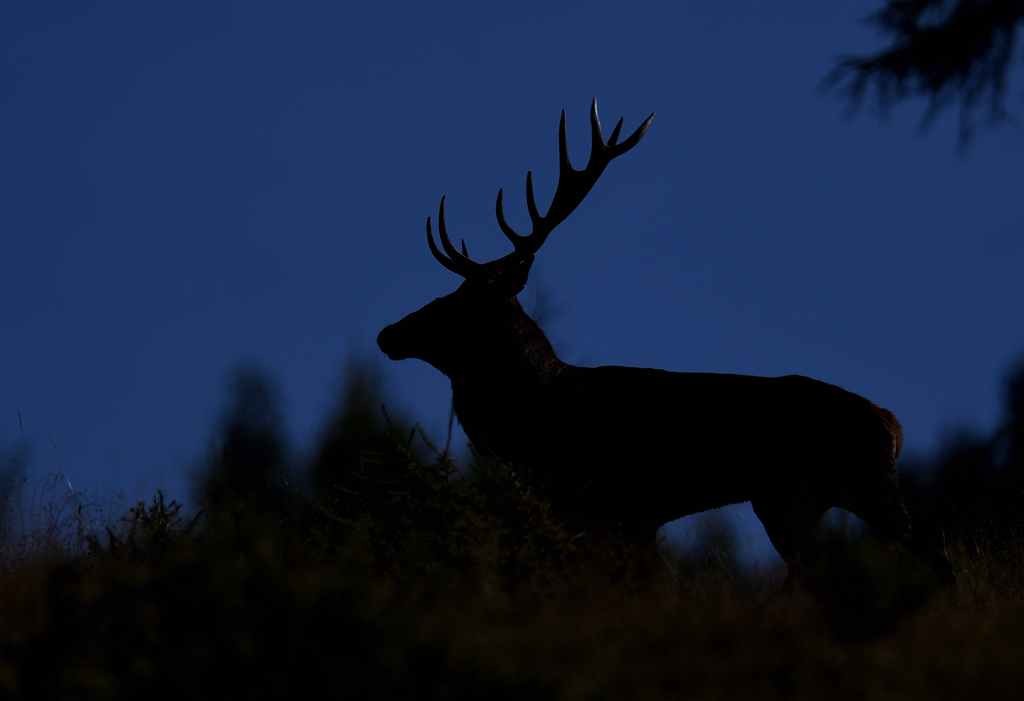 DS5_3728.jpg