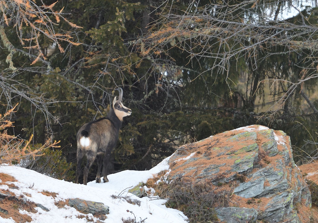 DS5_4528.jpg