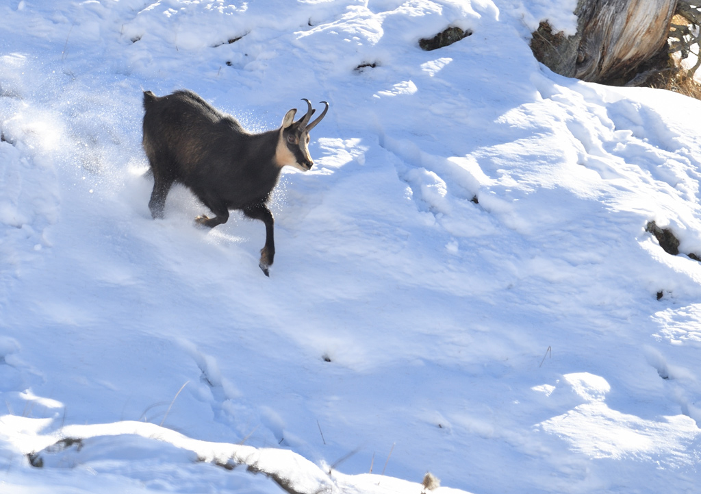 DS5_4643.jpg