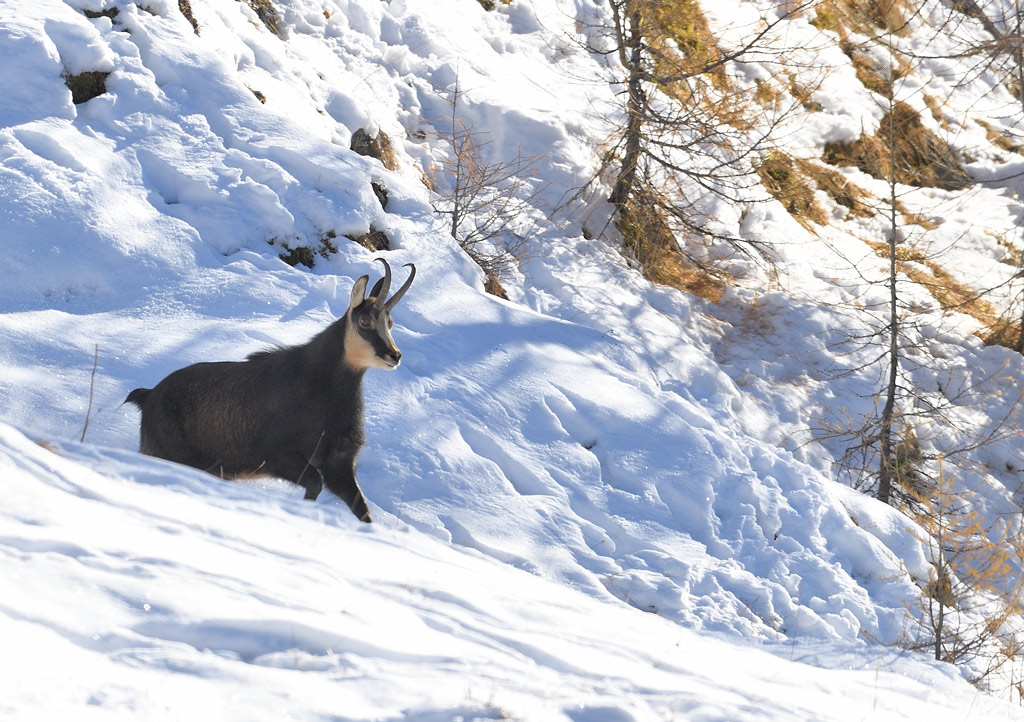 DS5_4644.jpg