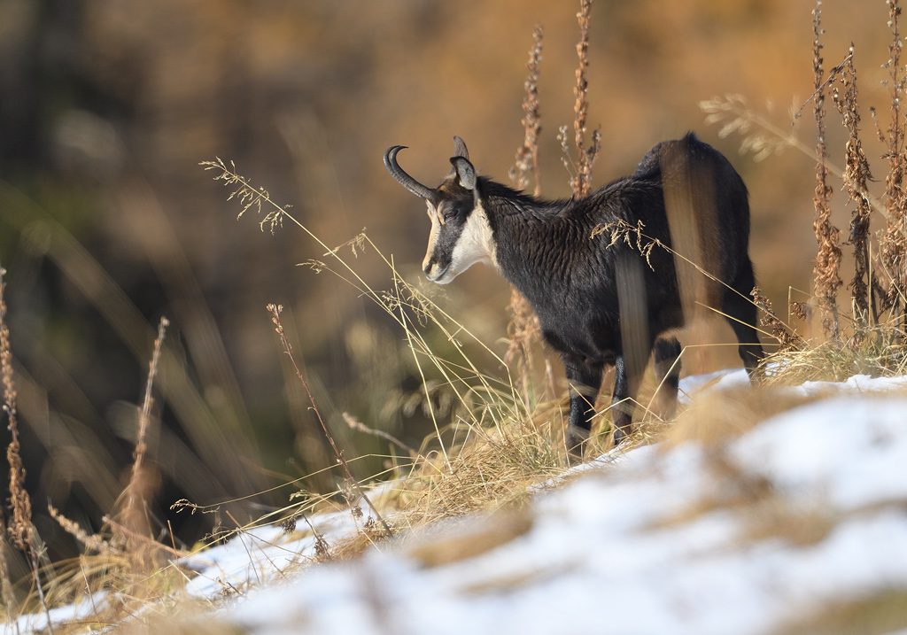 DS5_4760.jpg
